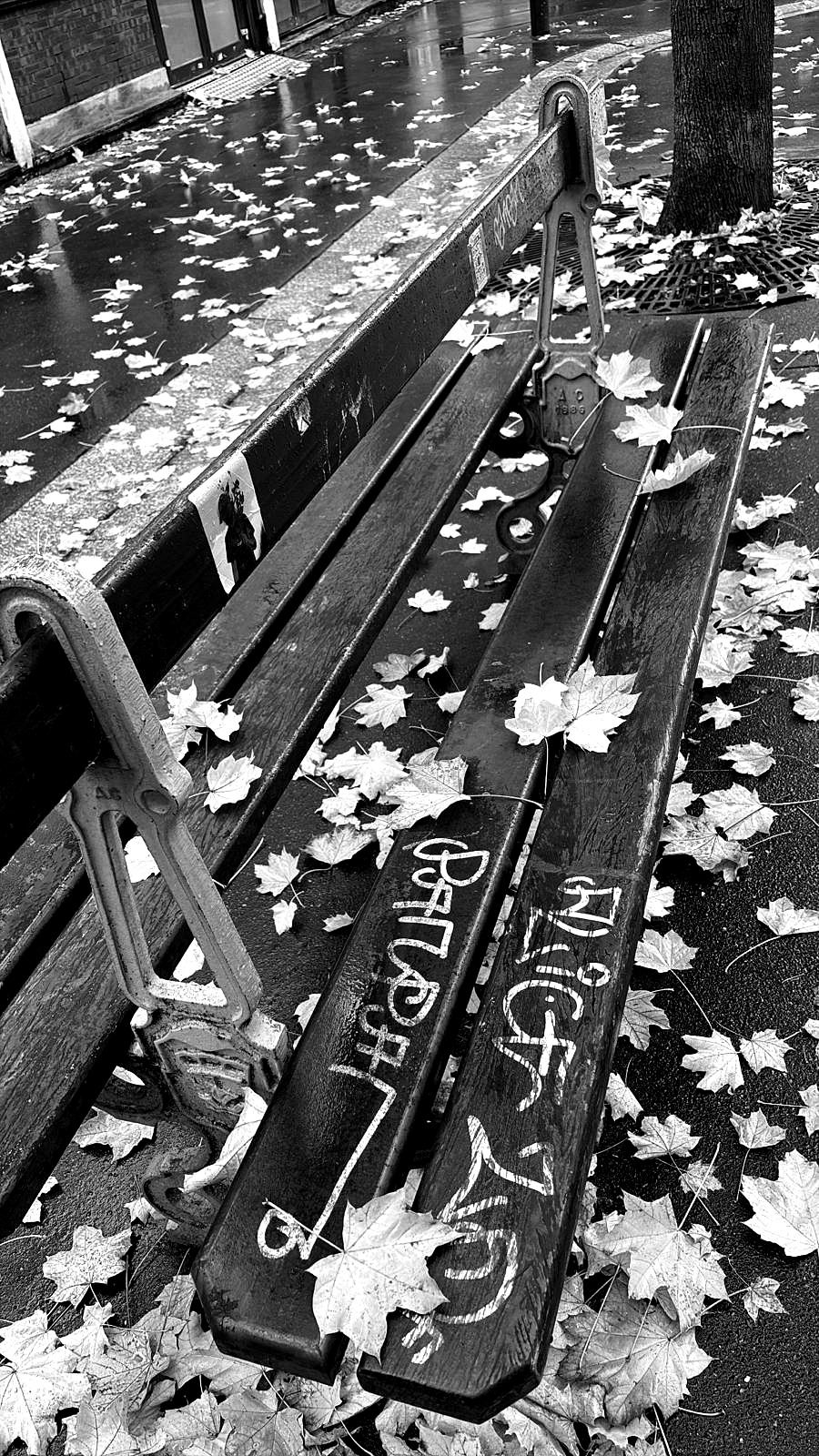 Rain-soaked park bench covered in fallen leaves, Paris, black and white